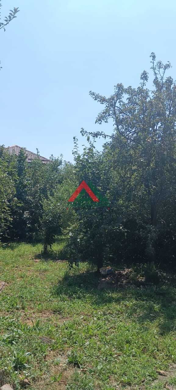 Дача — фото 3