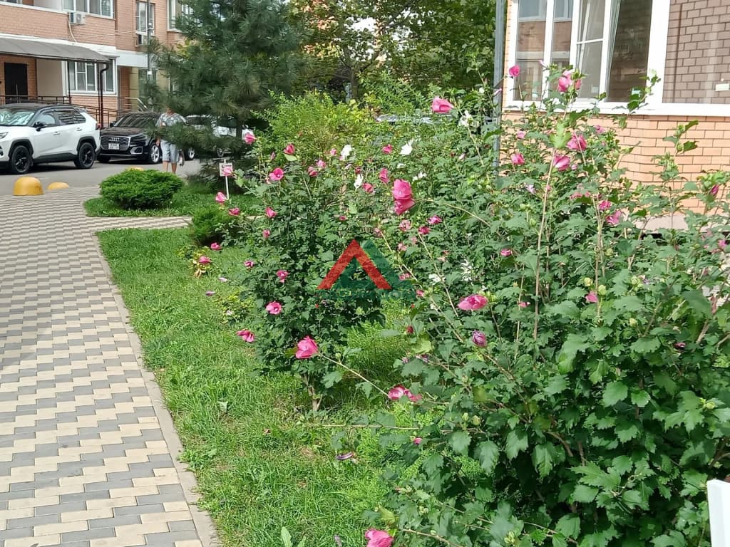 Квартира-студия — фото 3